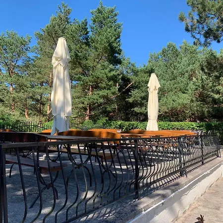 Rewita K Kolobrzegu * 로고보