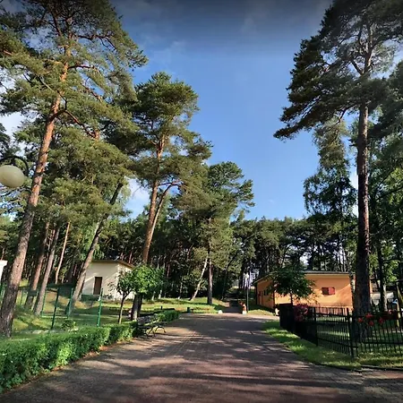 Rewita Rogowo K Kołobrzegu *