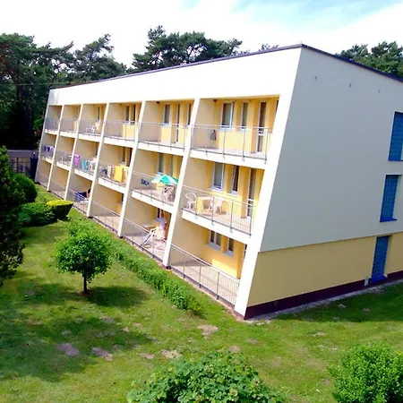 Rewita Rogowo K Kołobrzegu Rogowo (Gryfice)